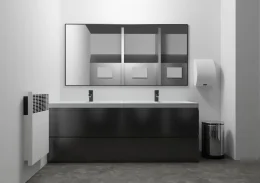 Darstellung Doppellavabo