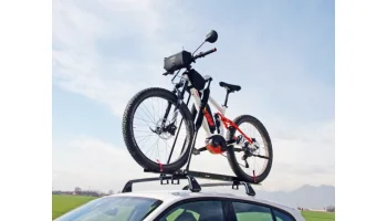 Fahrradträger Senior