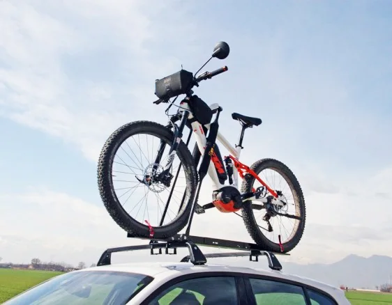 Fahrradträger Senior